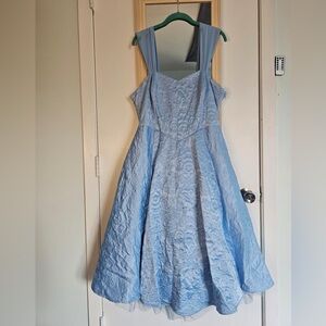 NWT Torrid Cinderella Dress